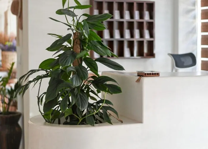 Ixic Boutique Hotel Zihuatanejo